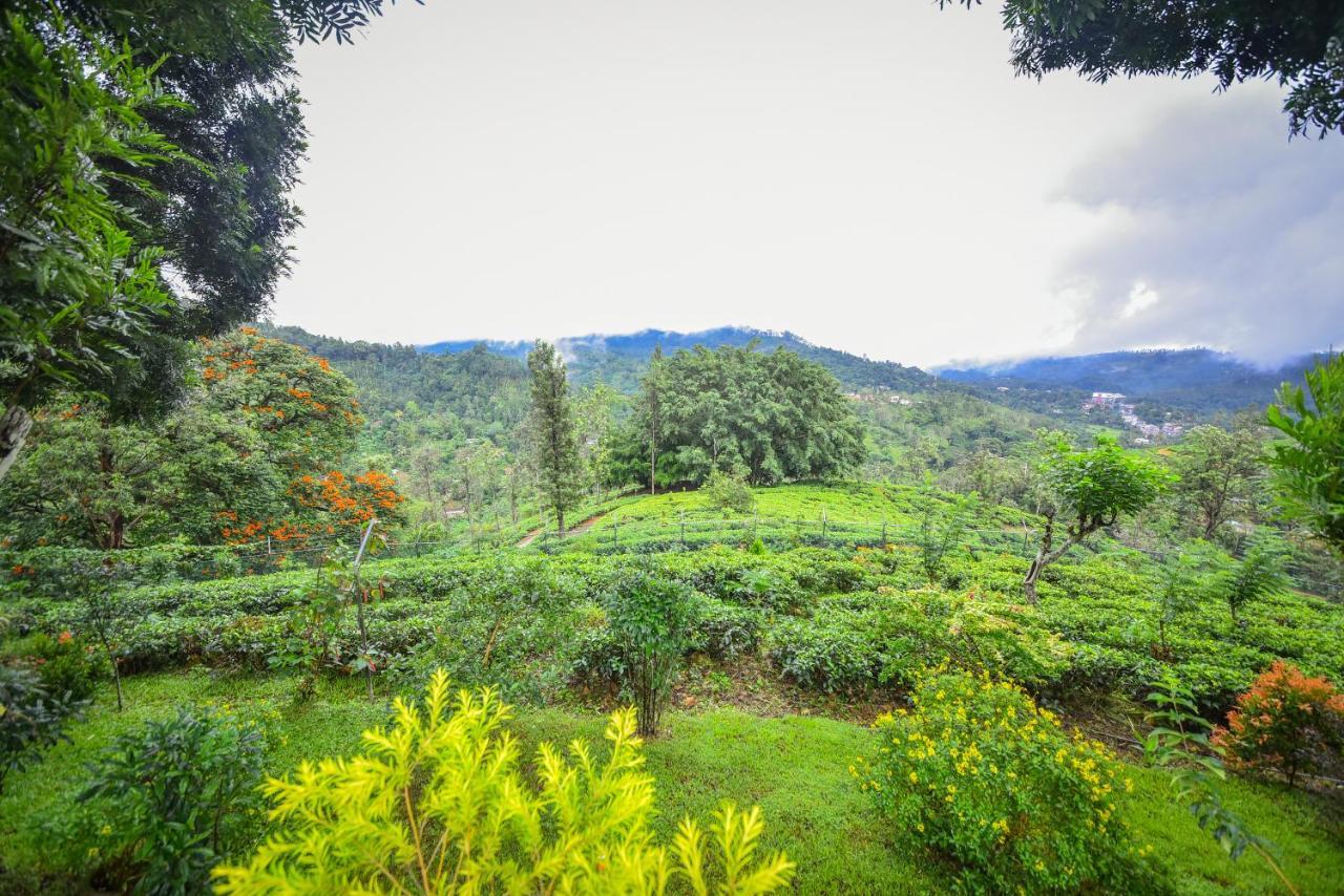 Sithara Estate Bungalow إيلا المظهر الخارجي الصورة