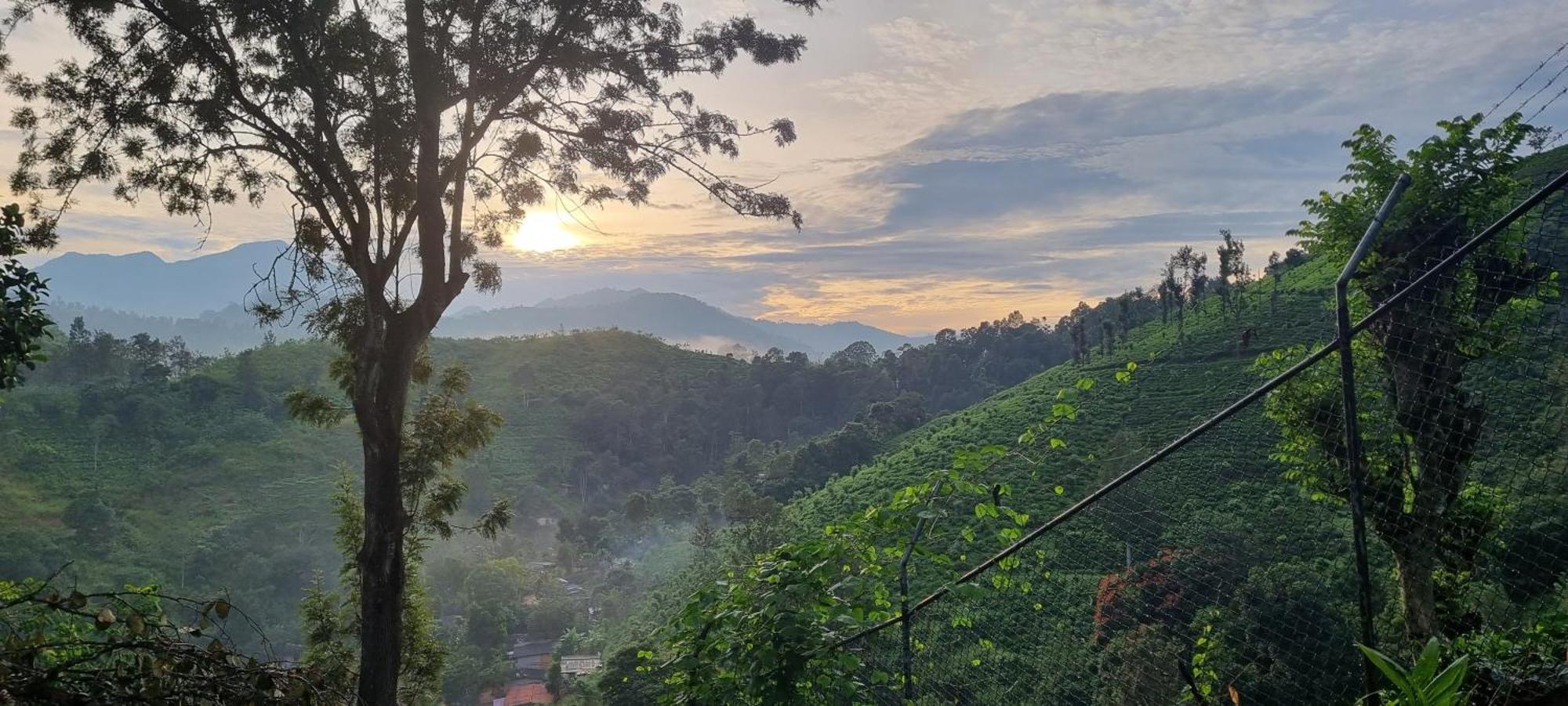 Sithara Estate Bungalow إيلا المظهر الخارجي الصورة