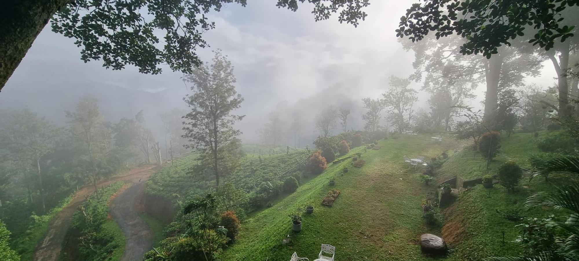 Sithara Estate Bungalow إيلا المظهر الخارجي الصورة