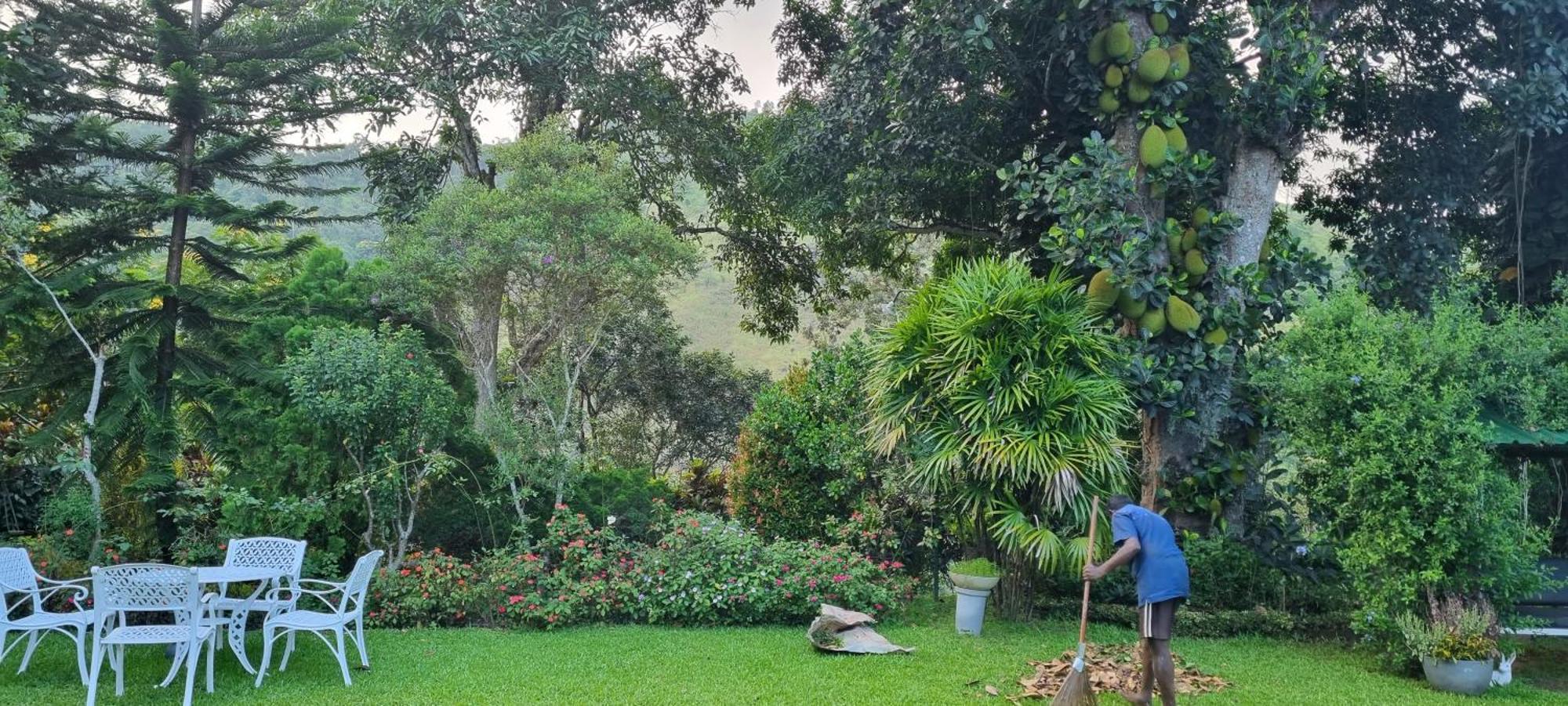 Sithara Estate Bungalow إيلا المظهر الخارجي الصورة
