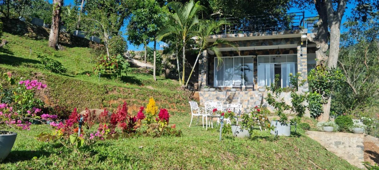 Sithara Estate Bungalow إيلا المظهر الخارجي الصورة