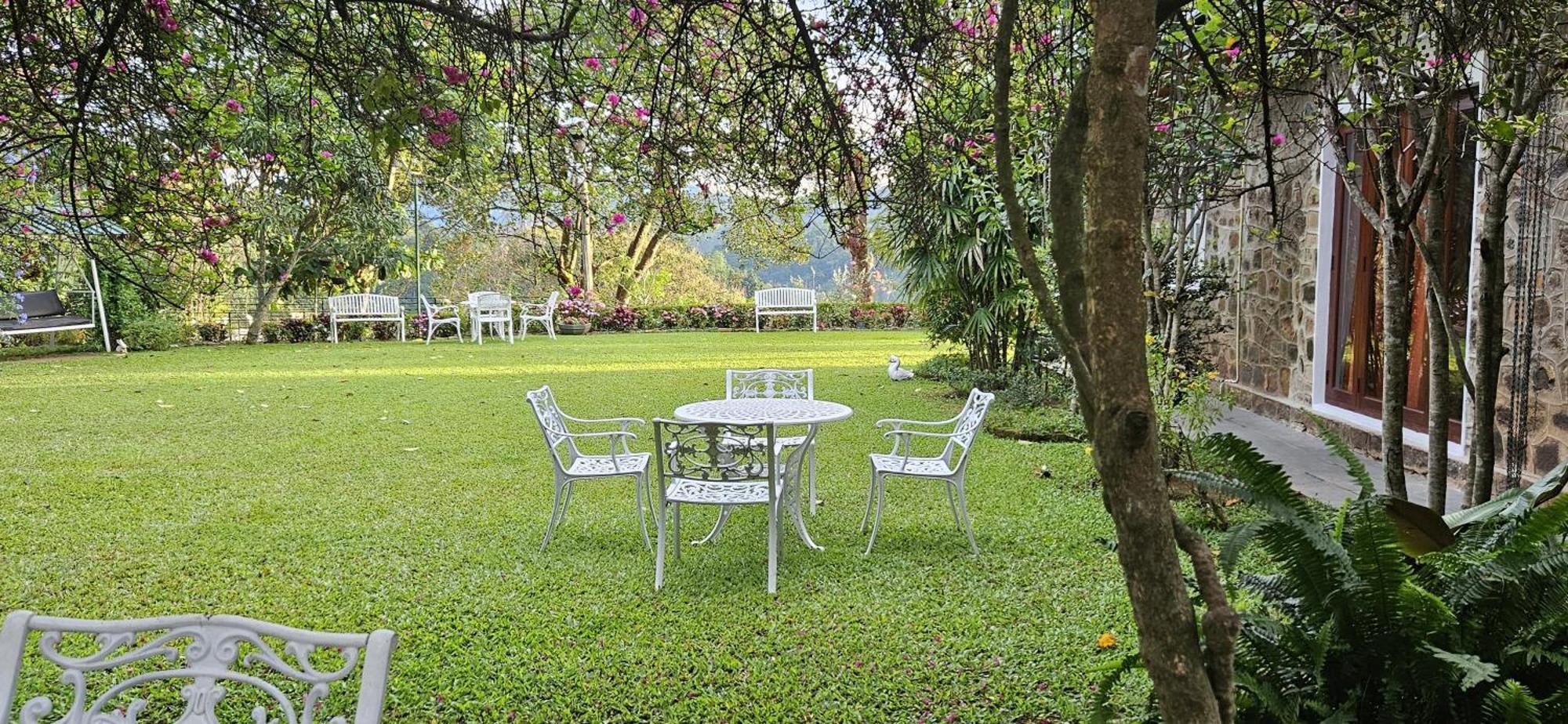 Sithara Estate Bungalow إيلا المظهر الخارجي الصورة