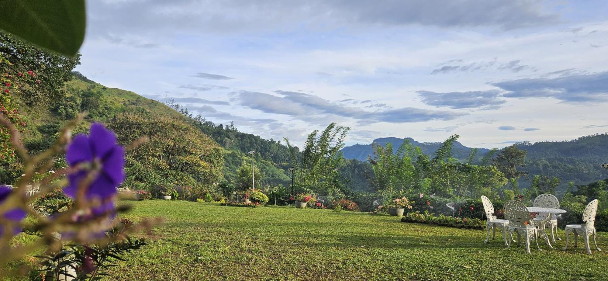 Sithara Estate Bungalow إيلا المظهر الخارجي الصورة