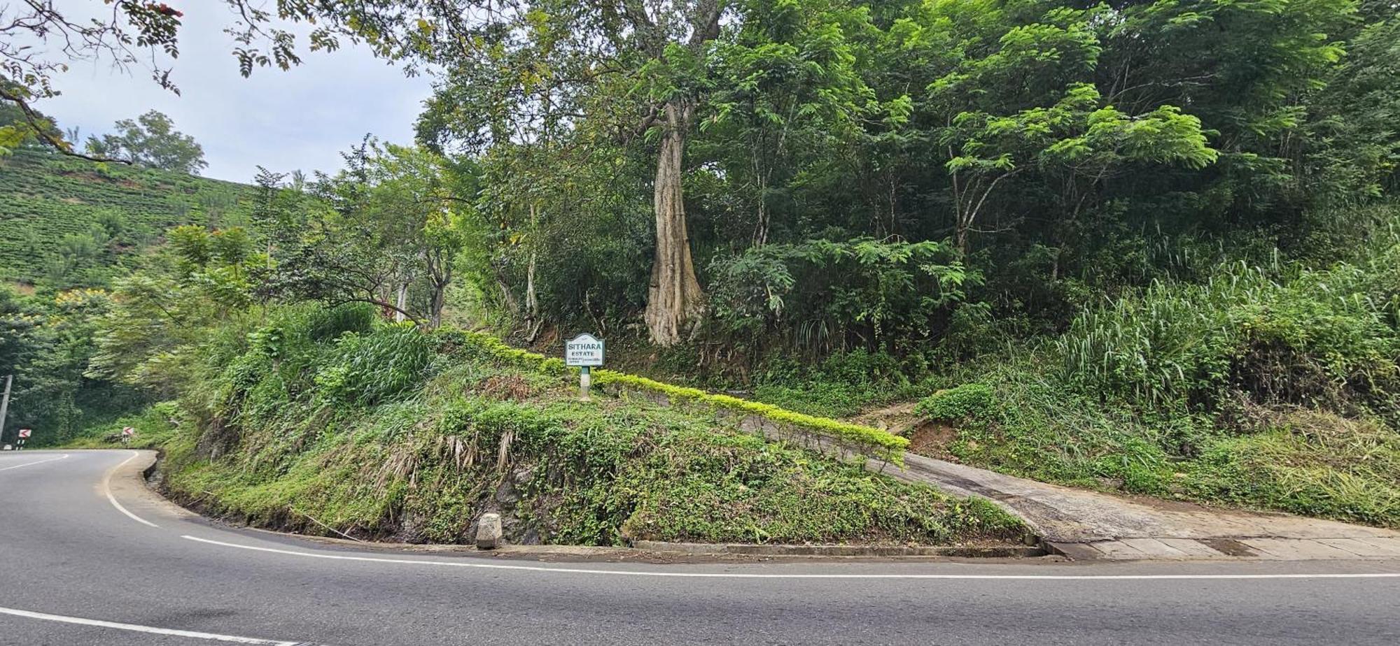 Sithara Estate Bungalow إيلا المظهر الخارجي الصورة