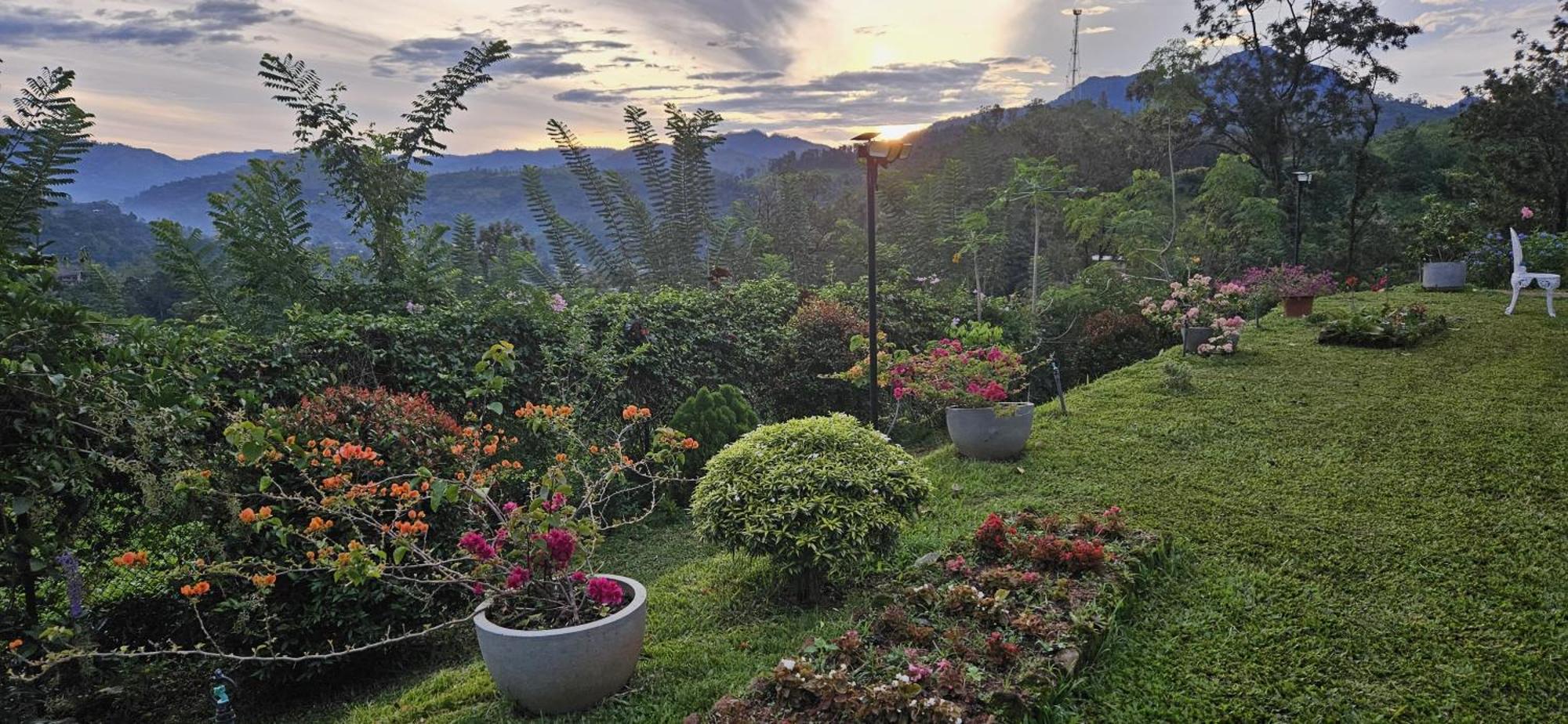 Sithara Estate Bungalow إيلا المظهر الخارجي الصورة