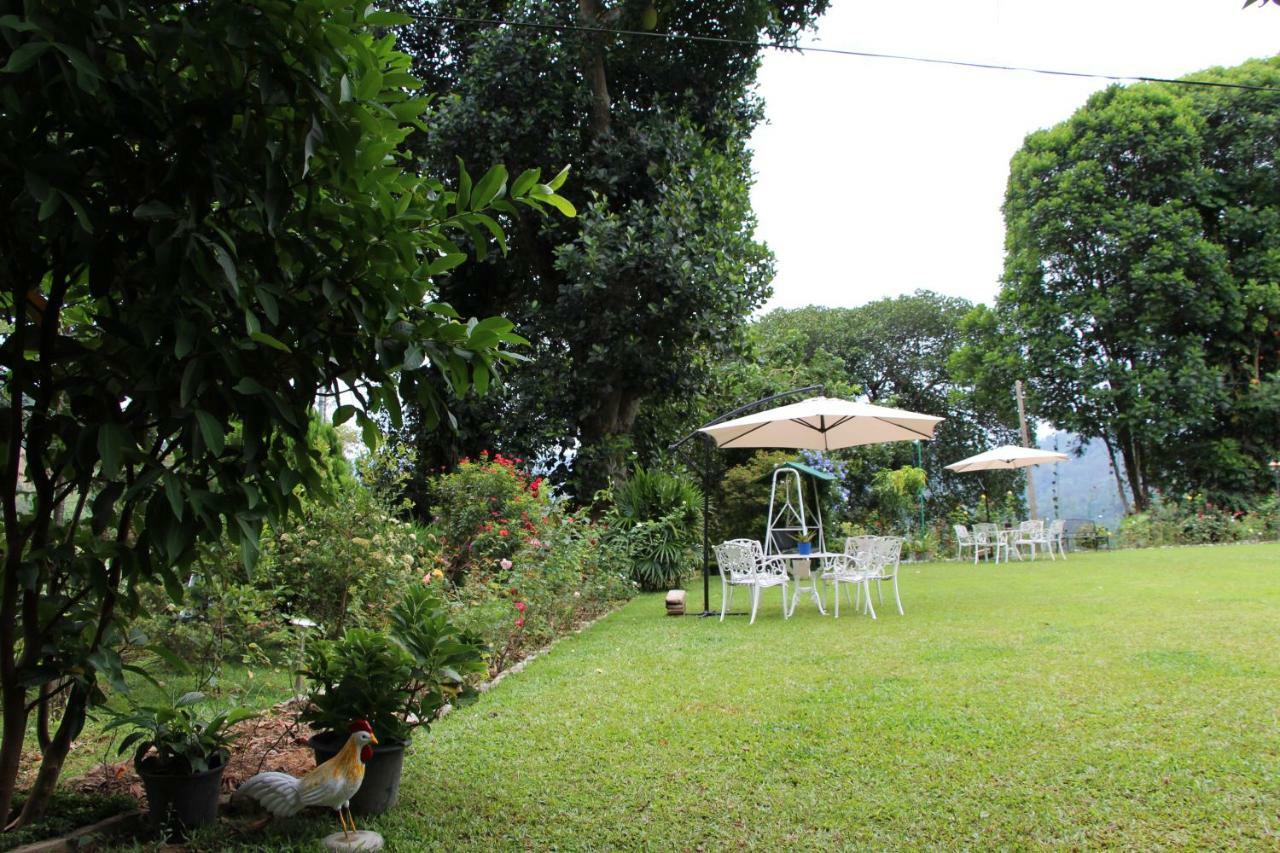 Sithara Estate Bungalow إيلا المظهر الخارجي الصورة